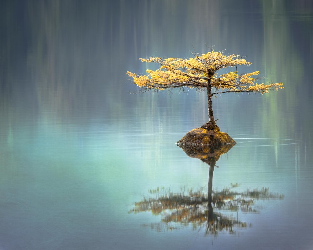 Be okay, alone